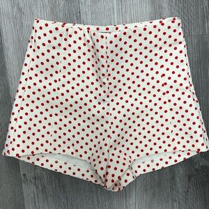 Zara High Waisted Polka Dot Shorts Size Small. Great Condition!